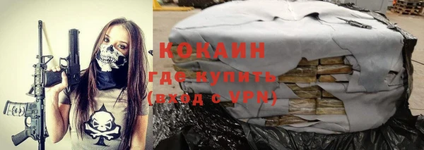 мет Новодвинск
