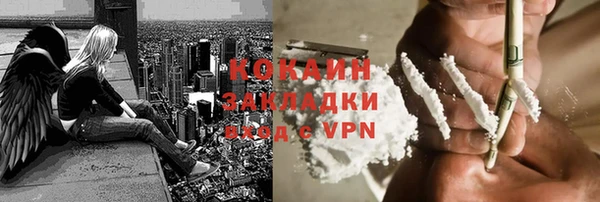 мдпв Няндома