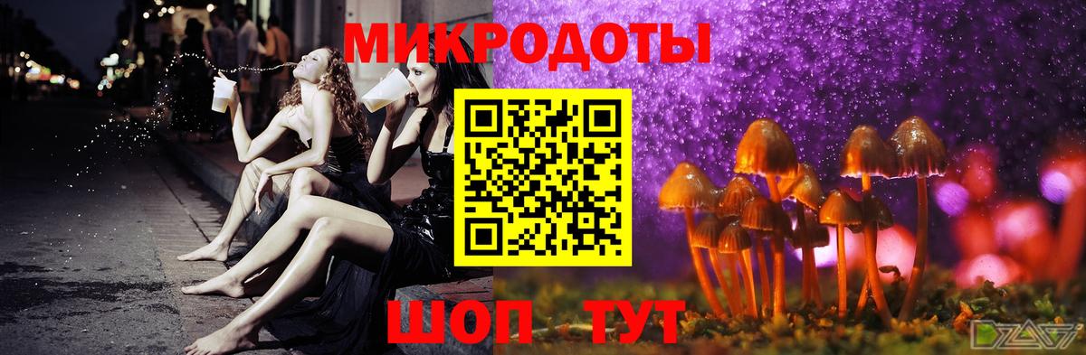Бошки Шишки Саянск